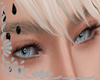 Lashes Black