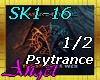 SK1-16 -Sky notes -P1