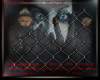 (NM) Flash Banner