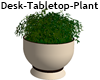 Desk-Tabletop-Plant
