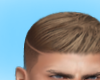 Apollo Hair