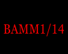 Song-Bam Bam B.S