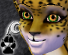 [N]Golden Jaguar Tail