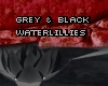 black/grey waterlillies