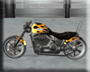 [SF] Harley Davidson 