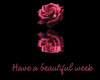 have a beautiful week