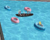 Pool Float...