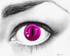 Purple cat eye