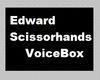 *JK*Edward Scissorhands