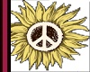 Peace Daisy Sticker