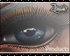 Zk 3° Turquoise Eyes