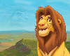 Lion King Pic Frame