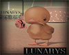 duck ilusion