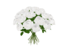 Rose Bouquet White V1