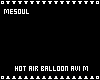 Hot Air Balloon Avi M