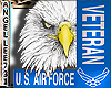 USA AIR FORCE STICKER