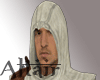Altair full outfit
