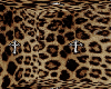 aesthetic BG 808