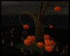 Pumpkin Tree ~