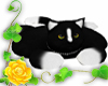 Black & White Cat Rug