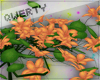 !Q! Flowering Bush 2