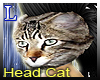 Head Cat