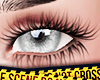 eye 001 $