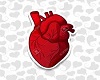Heart  Animated