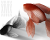 x. Animated goldfish