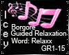 Borgore Guided Relax