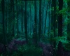 Fairy Background Forest