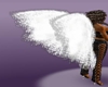 mystical gabriealla wing