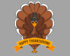 Thanksgiving Turkey V2