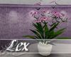 LEX Decor plant lilac