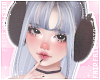 🌸 dulce winter