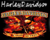 [TW]Harley Davidson 2