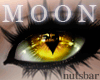 *n* moon gold cat /F