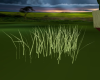 Grass Animated Short