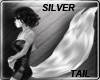 Silver Furry Tail