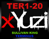 Sullivan King - Terminus
