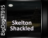 [BD]SheltonShackled