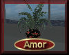 [my]Amor House Plant
