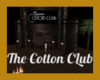 *D* Cotton Club