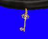 Master Key Collar M