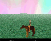 My first horse