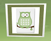 NT ~ WUAS Owl Picture