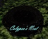 Calypso's Nest
