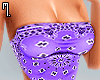 Loren Bandana Set v2