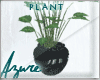 *A* Dream Modern Plant