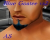 Blue Goatee VS2